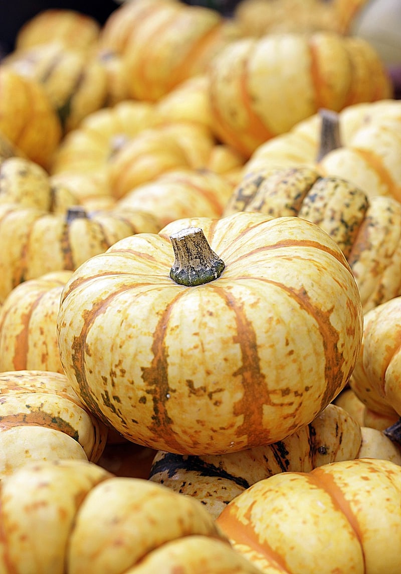 Fall Decor